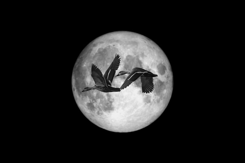 Moonlit Desserts